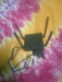Tp Link rauter c54